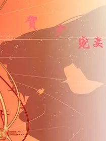 贺少宠妻