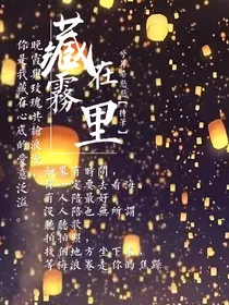藏在雾里