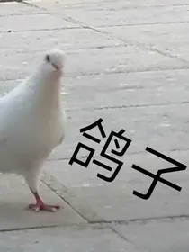 旧楼