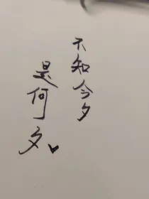 不知今夕是何夕