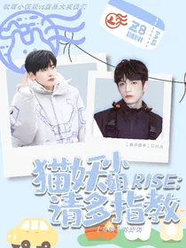 R1SE：猫妖小姐请多指教