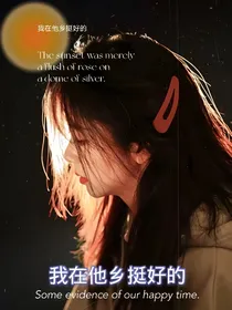 我在他乡挺好的：不负相遇