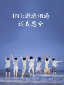 TNT：邂逅相遇，适我愿兮