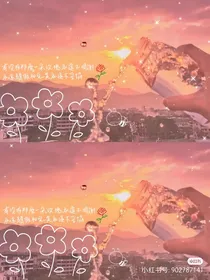 夏日落枫