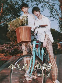 你是我一生最爱