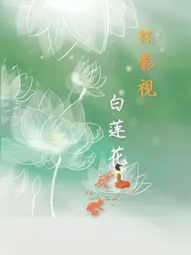 综影视：白莲花攻略