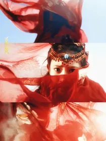 综影视：系统百昧生