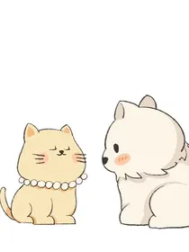猫狗：我在原地等你