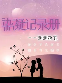 染凝记录册