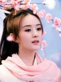快穿之拐个老公回现代