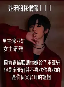姓宋的，我恨你！！！