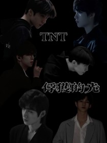 TNT：俘获的光