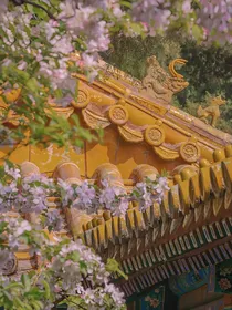 BTS：戏子