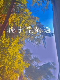 栀子花的海