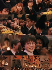 HP：这个女巫有点傻