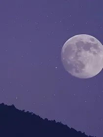 六零之俏知青