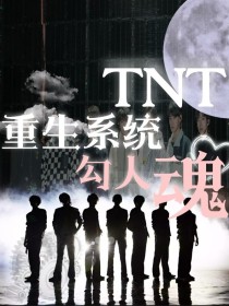 TNT：重生系统勾人魂