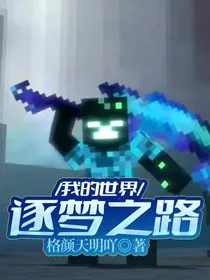 我的世界：逐梦之路