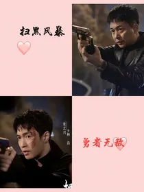 扫黑风暴之勇者无敌