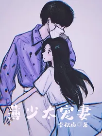 薄少太宠妻
