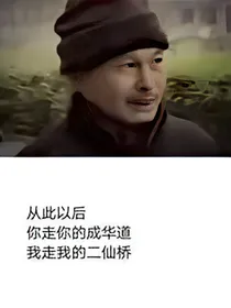 完美犯罪探案集