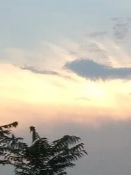 那年夏天和你
