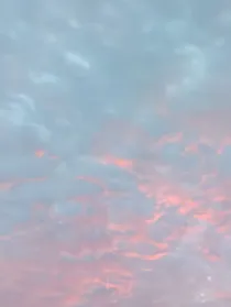 我穿越后成了寡妇