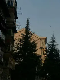 斗龙2后续