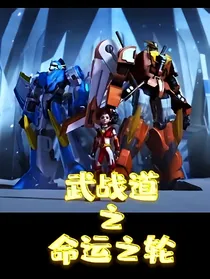 武战道之命运之轮