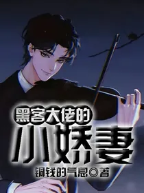 黑客大佬的小娇妻