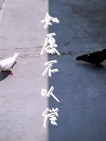 如愿不以偿