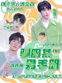 TNT：驯服某男手册