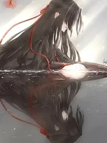 魏无羡之时光回溯画面