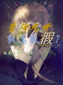 查理九世之孰真孰假？