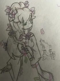 樱花与梅花