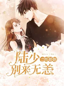 一纸婚约：陆少别来无恙