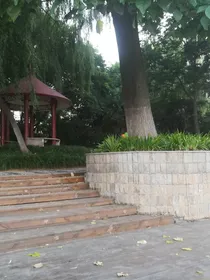 谜娜短篇