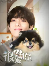 BTS：很爱很爱你