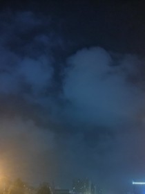 狼，会回来