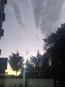 题目是啥？