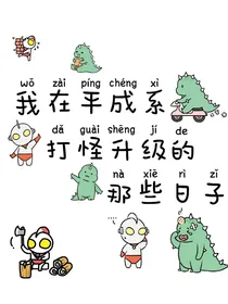 我在平成系打怪升级的那些日子