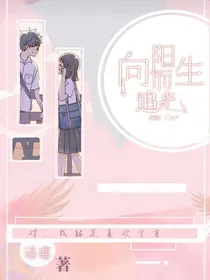 向阳而生：追光