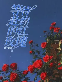等待赴约的红玫瑰