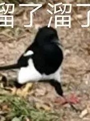 阿布里故事集