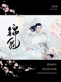 假如锦觅的审美观没问题