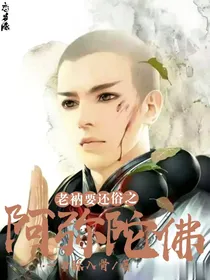 老衲要还俗之阿弥陀佛