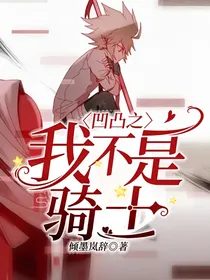 凹凸之我不是骑士