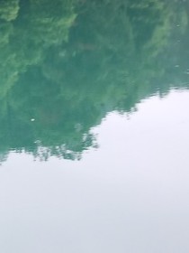 月光撩人