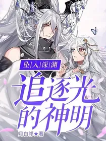 坠入深渊：追逐光的神明