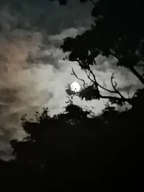 当吸血鬼不小心进入东方恐怖游戏世界